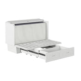 AFI, Nantucket Queen Murphy Bed Chest with Mattress, Storage Drawer and Built-In USB Charger, White AFI