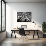 Bgraamiens Puzzle-Forest in Black and White-1000 Pieces Creative Black and White Nature Scenery Hard Puzzle Blue Board Jigsaw Puzzle Bgraamiens