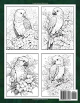 Creative Haven Macaws Coloring Book: Macaws Coloring Page, Vibrant Designs Celebrating the Beauty of Tropical Parrots Majosta