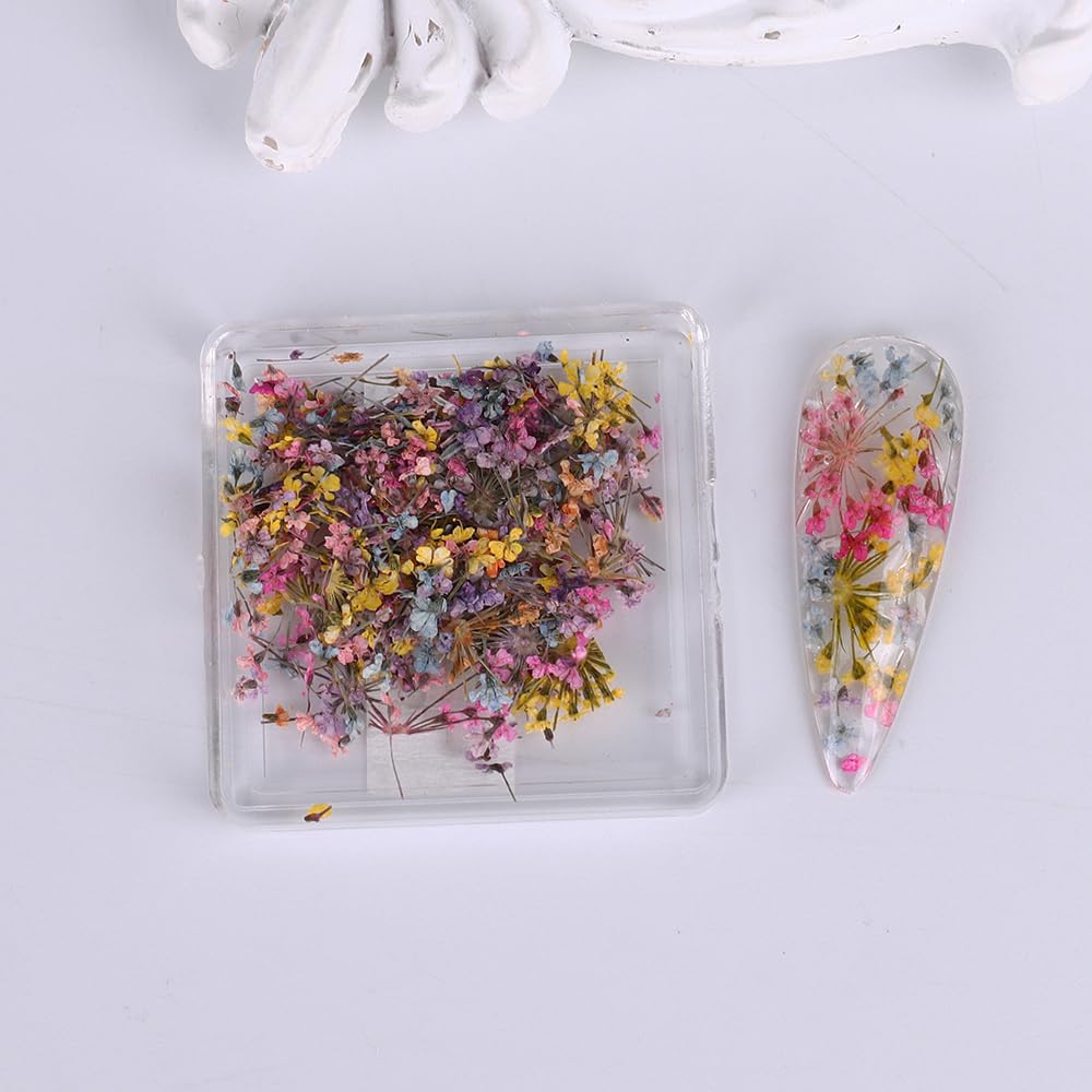 3D Dried Flower for Nails, Flower Nail Art Stickers 1Box Mixed Dried Flowers for Nail Art Resin DIY Crafts Natural Real Dry Flower Decals for Spring Summer Manicure Nail Art Decorations (Style3) SINSEN