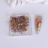 3D Dried Flower for Nails, Flower Nail Art Stickers 1Box Mixed Dried Flowers for Nail Art Resin DIY Crafts Natural Real Dry Flower Decals for Spring Summer Manicure Nail Art Decorations (Style3) SINSEN
