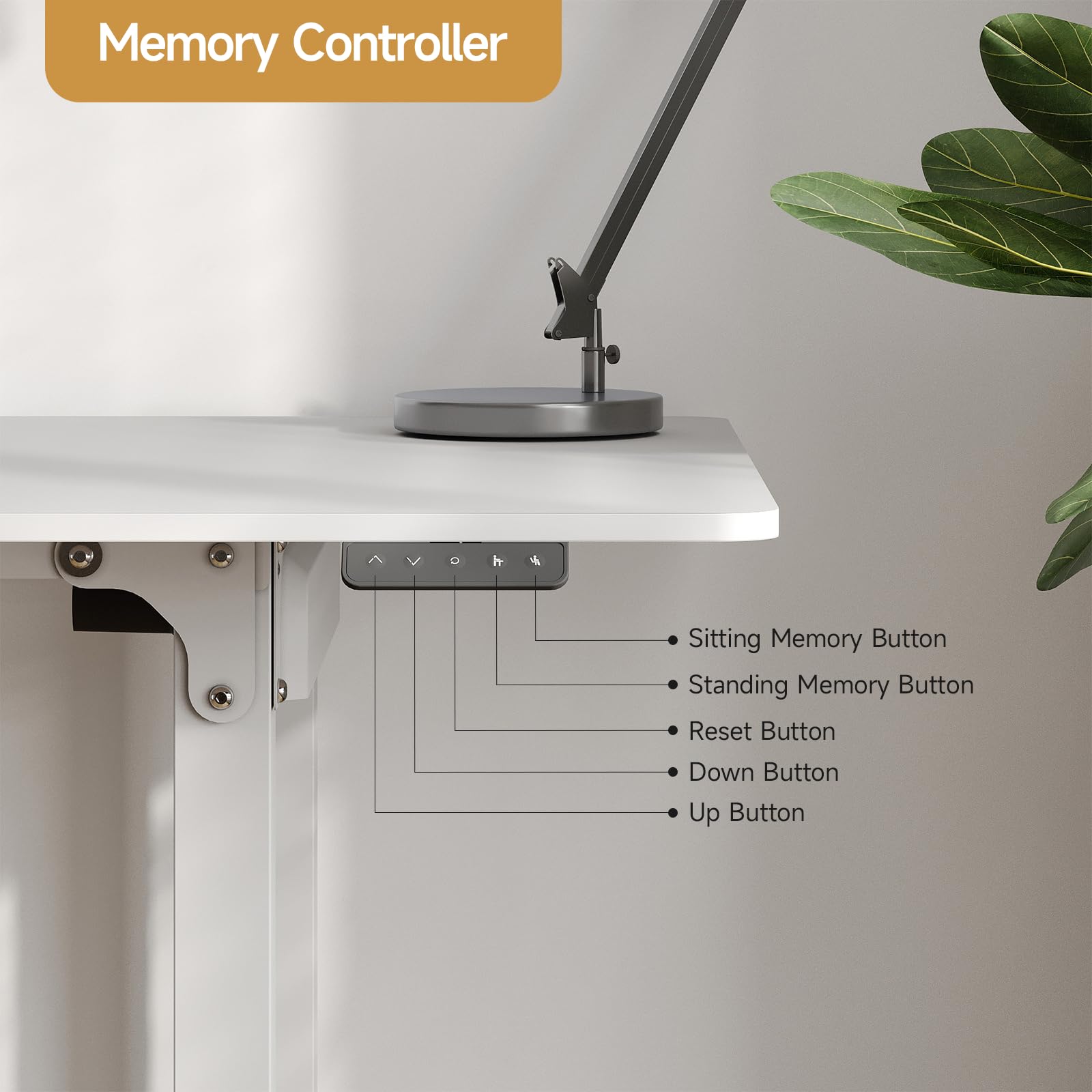 ONBRILL Standing Desk, 63x29.5 Inches Stand Up Desk with 4 Legs, Rectangle Desk with 2 Dual Motor & Memory Controller, Sit Stand Desk Adjustable Height from 28-46" for Computer Workstation, W - WoodArtSupply