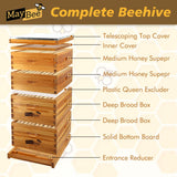 MayBee 10-Frame Langstroth Beehive Dipped in 100% Beeswax, Complete Bee Hives and Supplies Starter Kit Includes 2 Deep Hive Bee Box and 2 Bee Hive Super with Beehive Frames and Foundation MayBee