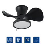 ocioc Quiet Ceiling Fan with LED Light 22 inch Large Air Volume Remote Control for Kitchen Bedroom Dining Room Patio ocioc