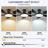 PHORUS 48" Low Profile Ceiling Fan With Lights and Remote/APP, Black With Quiet Reversible DC Motor, Dimmable 3 Colors 6 Speeds, Modern Flush Mount for Bedroom Kitchen PHORUS