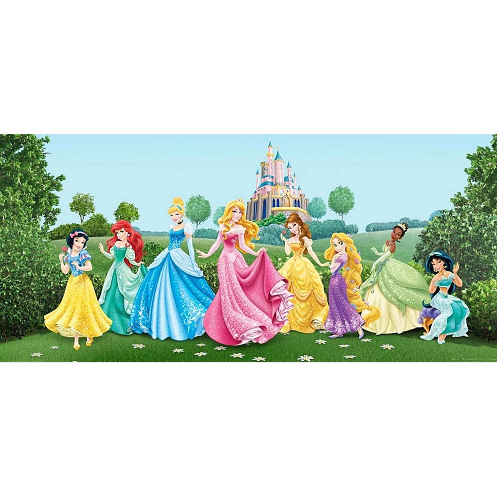 DIY 5D Diamond Art Kits Full Drill, Eight Pricesses Cinderella Aurora Ariel Belle Jasmine Tiana Rapunzel Rhinestone Embroidery Pictures Cross Stitch for Home Wall Decoration 11.81x19.68 inch Better Selection
