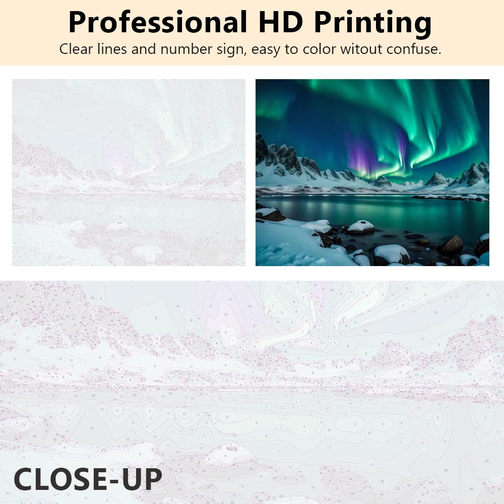 Rebotipy Aurora Paint by Numbers for Adults Polar Lights Paint by Number on Canvas Without Frame,DIY Snow on Mountain in Winter Oil Painting for Home Wall Decor(16x20inch) Rebotipy