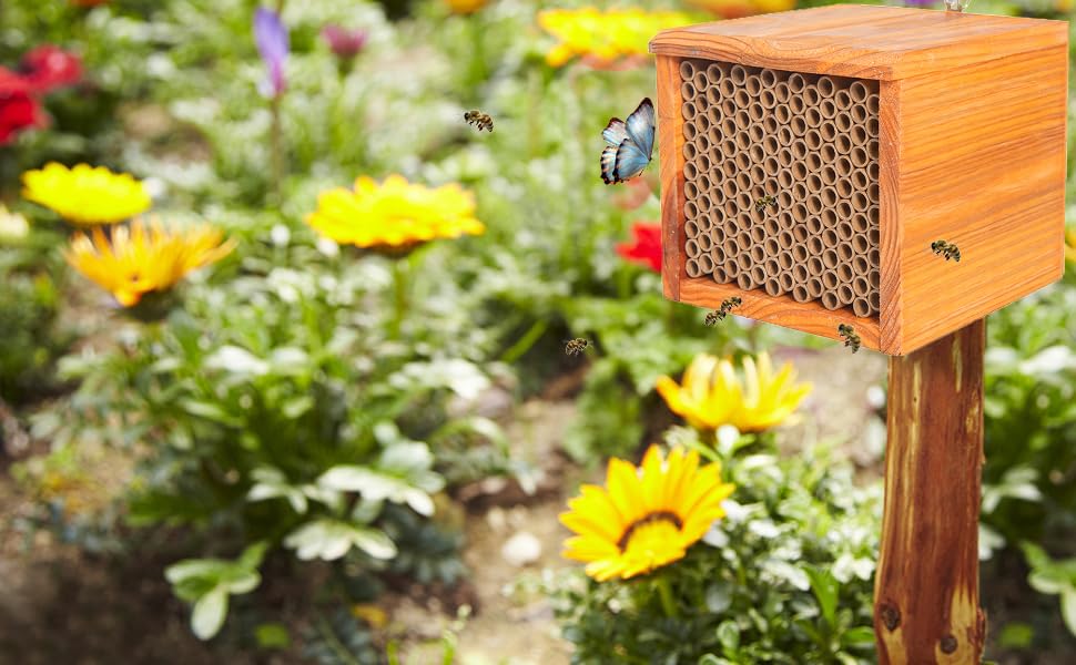 Mason Bee House Wax Coated Bee Hive,Carpenter Bee House for The Garden, Solitary Bee Hotel Waterproof,Natural Handmade Wooden Mason Bee Box Tiny Home,Attracts Peaceful Bee Pollinators,Bee Kee - WoodArtSupply