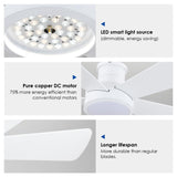 Ceiling Fans with Lights,Modern Low Profile Ceiling Fan with Light and Remote Control,5 Dual-Sided Blades,Reversible DC Motor,40" White Small Flush Mount Ceiling Fan for Bedroom Indoor/Outdoor Use Hounberi