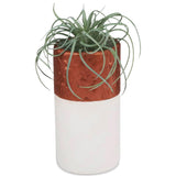 Sculpey Premo 24 Color sampler of Polymer Oven-Bake Clay, Non Toxic 1.5 lbs., Great for jewelry making, holiday, DIY, mixed media and more. Premium clay Great for clayers and artists. Sculpey