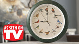 Mark Feldstein & Associates The Original Singing Bird Clock 25th Anniversary Edition, As Seen On TV (13 Inch, Matte Green) Mark Feldstein & Associates