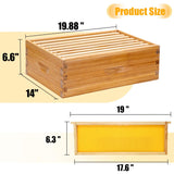 Honey Lake 8 Frame Complete Bee Hive Starter Kit for Beekeepers Dipped in 100% Beeswax Includes Deep Brood Box & Medium Super Bee Box with Beehive Frames and Waxed Foundation Sheet (2 Layer) Honey Lake
