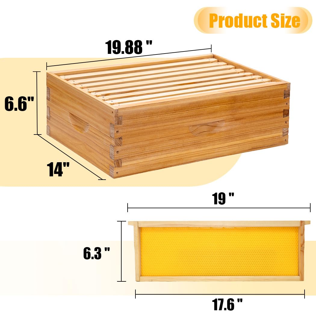 Honey Lake 8 Frame Bee Hive Kit, Langstroth Bee Hives Boxes Starter Kit for Beekeepers Dipped in 100% Beeswax Includes 2 Deep Brood Box & 1 Medium Super Bee Box with Beehive Frames and Foundations Honey Lake