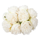 U'Artlines 2 Bouquet 10 Heads Artificial Peony Silk Flower Leaf Home Office Wedding Party Festival Bar Decor (Cream White) U'Artlines