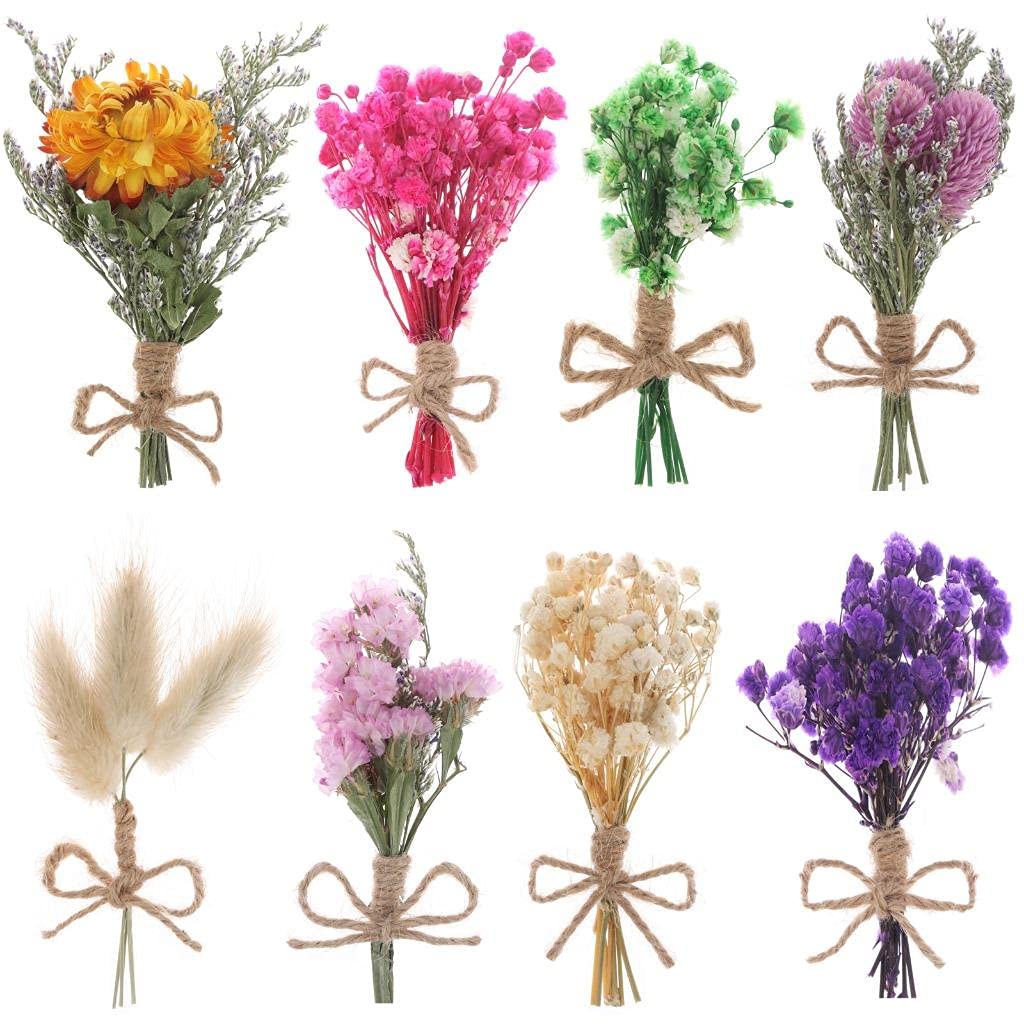 8 Pcs Mini Gypsophila Bouquets Dried Flower Daisy Bundles Dry Flower&Leaves Natural Lagurus Dried Embossing Flower Plant Stem Bunch for DIY Craft,Card Decoration,Photo Props,Home Party&Wedding Decor WWahuayuan