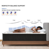 Hotkid,Twin Mattress,10 Inch High Density Foam Hybrid Mattresses in a Box with Individual Pocket Spring,Twin Size mattresses,Breathable Supportive and Pressure Relief,Guest and Kids Bedroom Hotkid