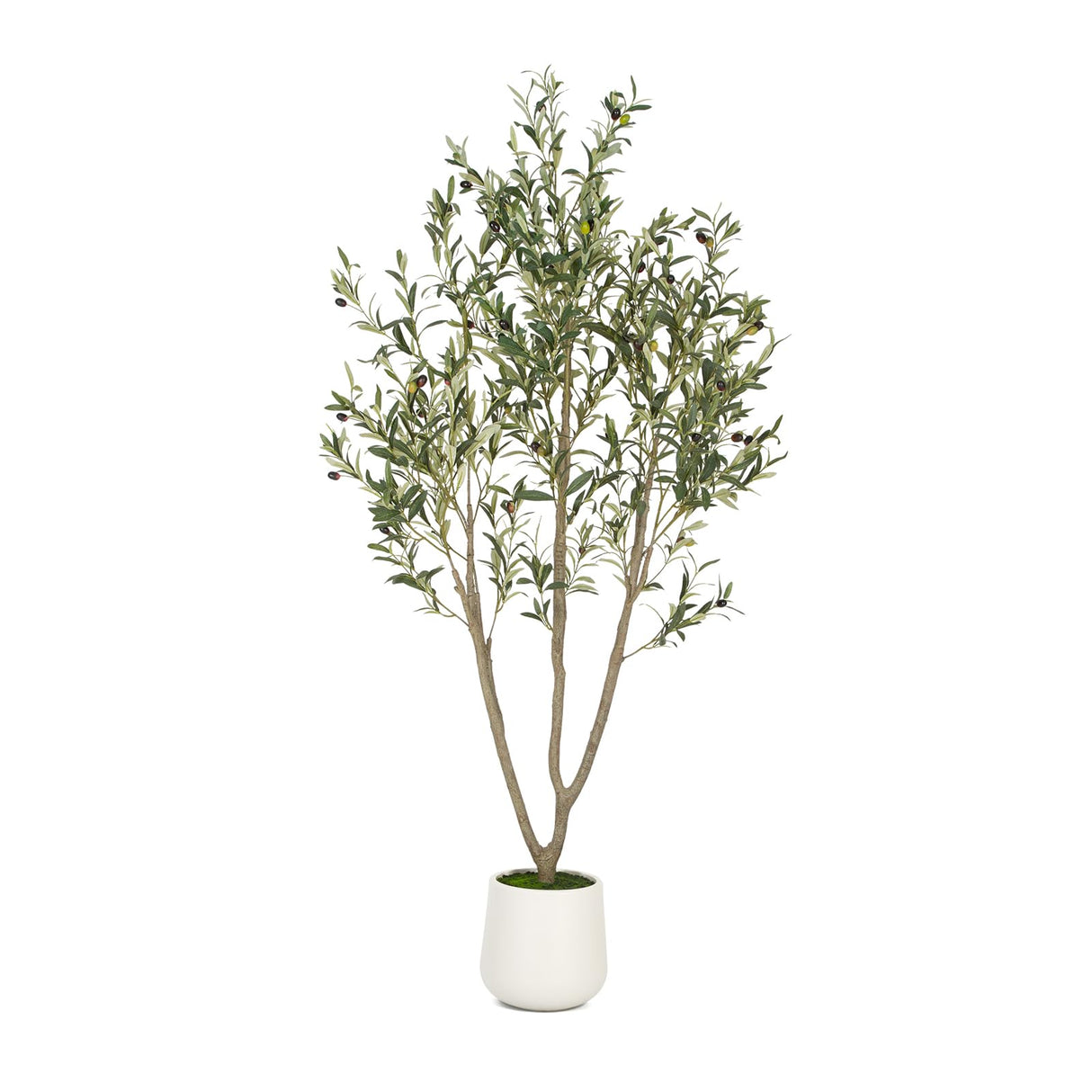 VIVATREES Olive Trees Artificial Indoor, 6FT Tall Faux Olive Tree with White Tall Planter, Artificial Plants with Natural Wood Trunk and Lifelike Fruits for Home Office Decor VIVATREES