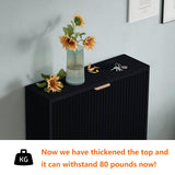 QIVOMIX Shoe Cabinet Storage,Modern Freestanding Organizer with 2 Flip Drawers,Narrow Shoe Rack Cabinet for Entryway,Black QIVOMIX