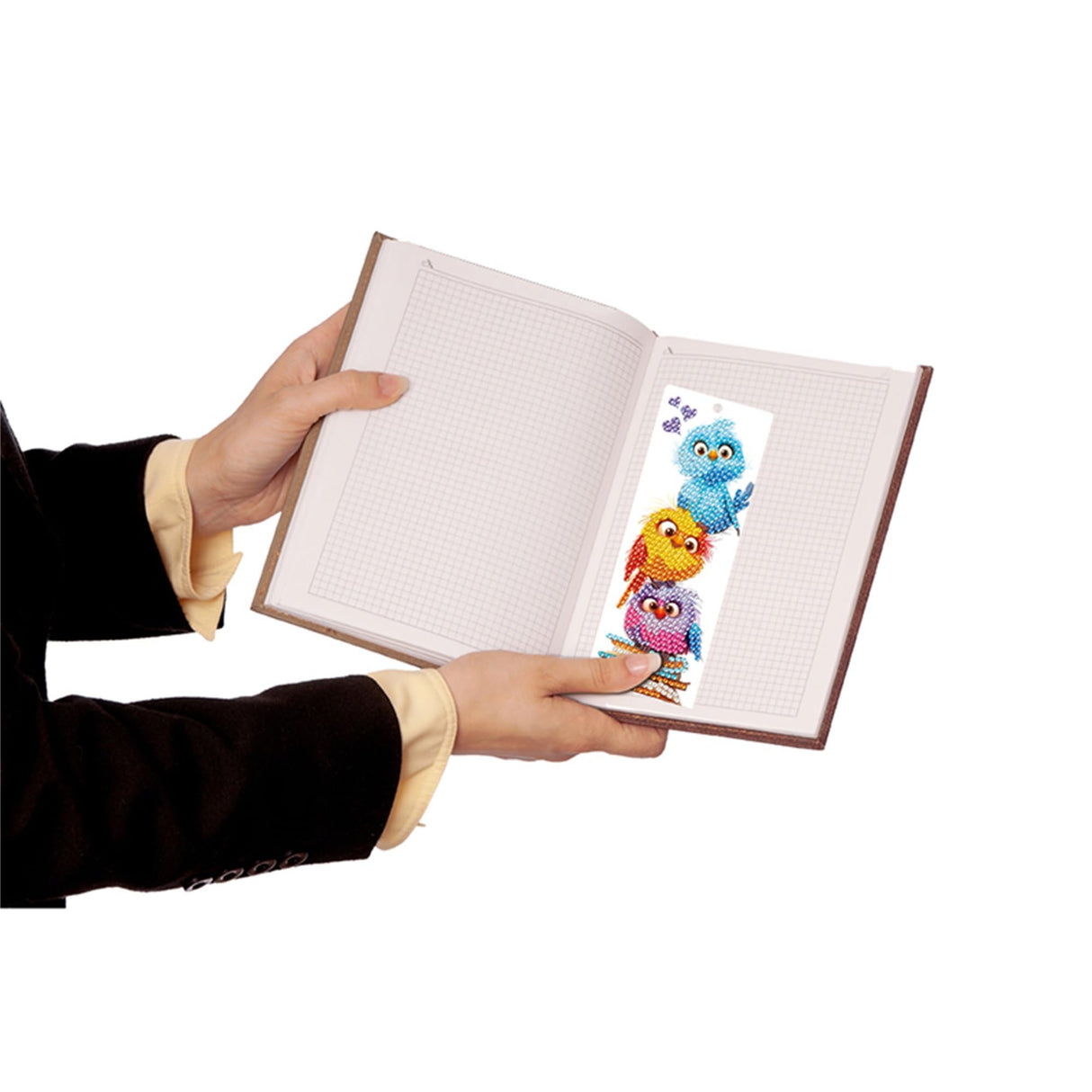 4pcs Bird Diamond Art Bookmarks,Diamond Painting Bookmarks Kits for Adult,DIY Gem Art Small Crafts with Rhinestone Tassel,Paint by Diamonds for Graduation Birthday Reader Gifts. (Bird) NDNXYXGS