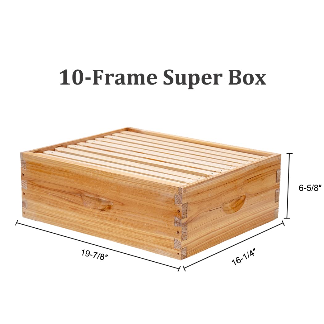 BeeCastle 10 Frame Langstroth Bee Hive Coated with 100% Beeswax Includes Beehive Frames and Waxed Foundations (2 Deep Boxes & 1 Medium Box) - WoodArtSupply