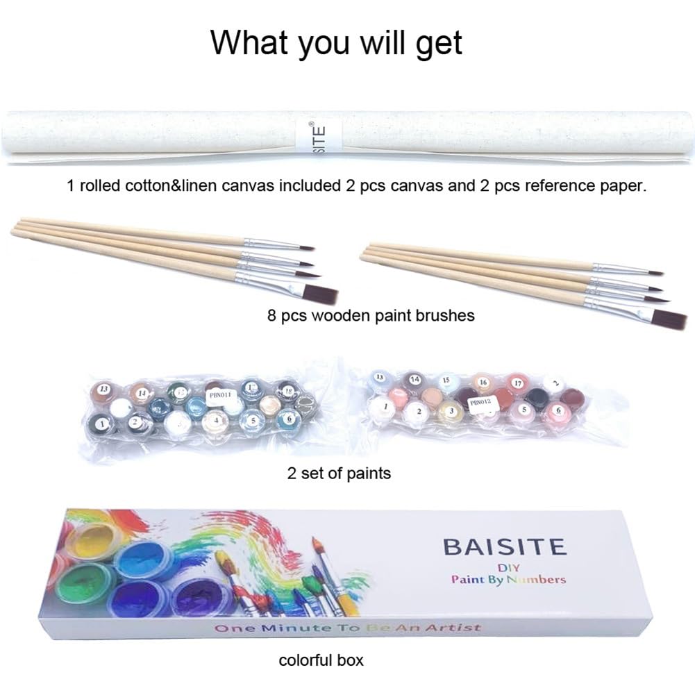 BAISITE Paint by Numbers Kit for Adults Beginners,12" Wx16 L 2 Pack Canvas for Painting Kits for Adults in Colorful Box-Daisy and Sunflowers 0304 BAISITE