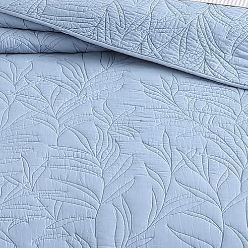 Tommy Bahama - Queen Quilt, Reversible Cotton Bedding, Pre-Washed for Added Softness (Costa Sera Blue, Queen) Tommy Bahama