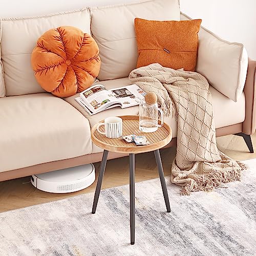 LITA Rattan Log Desktop Round Side End Table, Nightstand/Small Tables, Indoor Outdoor Wooden Tray Table with Metal Stand End Table for Living Room Bedroom Office Small Spaces LITA