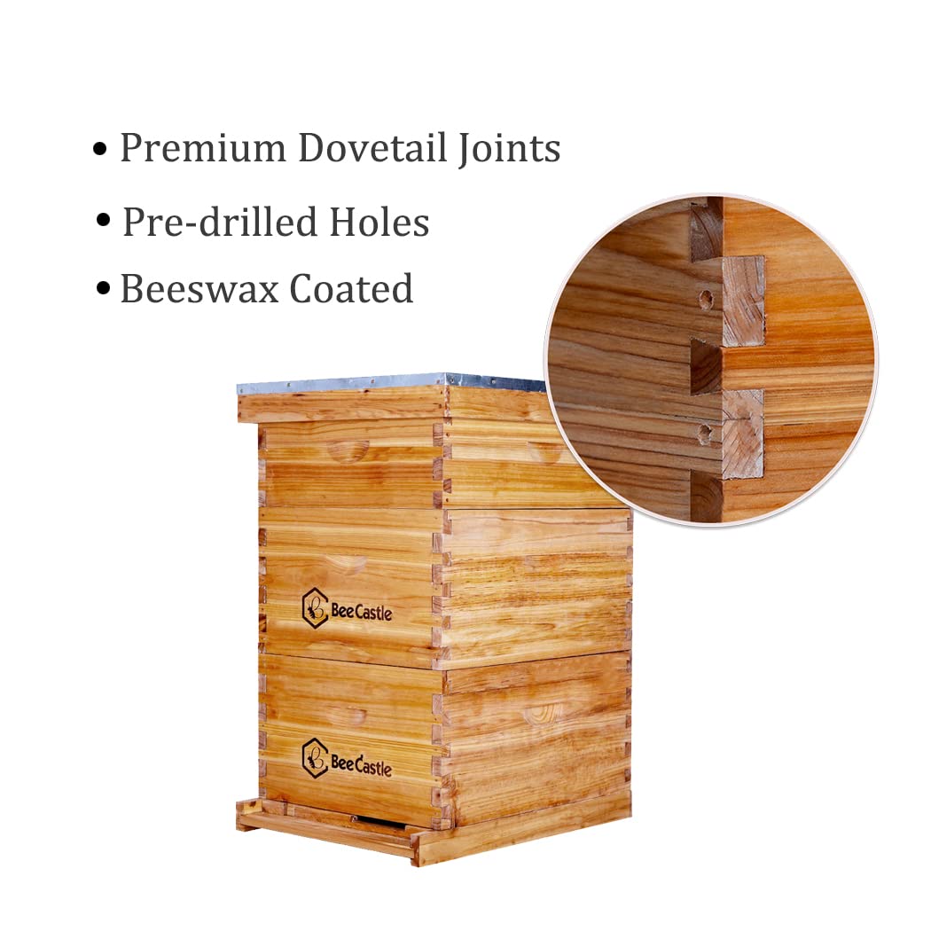 BeeCastle 10 Frame Langstroth Bee Hive Coated with 100% Beeswax Includes Beehive Frames and Waxed Foundations (2 Deep Boxes & 1 Medium Box) BeeCastle