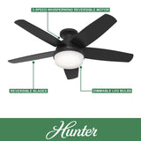 Hunter Fan 48 Inch Black Ceiling Fan with LED Light Kit and Handheld Remote, Low Profile Ceiling Fan for Bedroom, Living Room, Dining Room, Kitchen, Office (Renewed) Hunter
