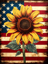SKRYUIE Paint by Numbers Kit for Adults Beginner Sunflower, Acrylic American Flag Oil Painting by Numbers Kits with PaintBrushes Paintwork Art Crafts Canvas for Home Decor 16x20 inch 07 SKRYUIE