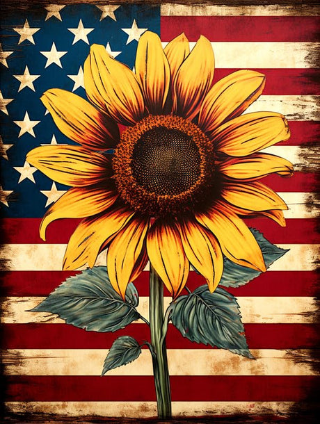 SKRYUIE Paint by Numbers Kit for Adults Beginner Sunflower, Acrylic American Flag Oil Painting by Numbers Kits with PaintBrushes Paintwork Art Crafts Canvas for Home Decor 16x20 inch 07 SKRYUIE