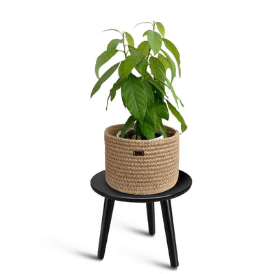 Uneedem Indoor Plant Stand Wood Mid Century Plant Stand for Indoor Plants, Modern Plant Table, 8.9" Tall Plant Holder for Flower Pots, Small Round Side Table, End Table
