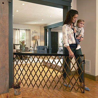 Evenflo Expansion Walk-Thru Room Divider Baby Gate (Farmhouse Collection) - WoodArtSupply