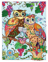Creative Haven Owls Coloring Book (Adult Coloring Books: Animals) Dover Publications