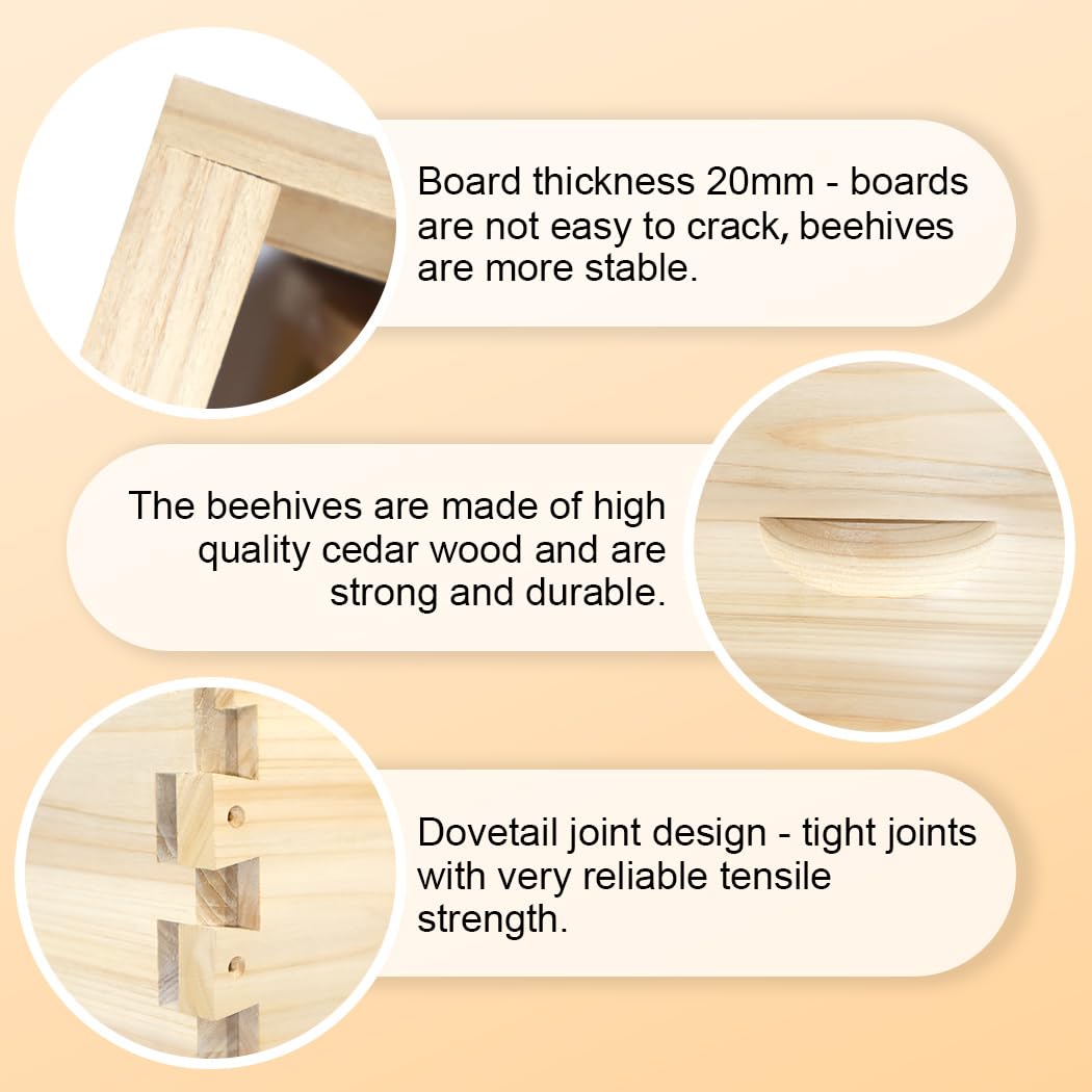 BEEINN 10 Frame Bee Hive, Compelte Bee Hive Starter Kit Includes 1 Deep Brood Honey Bee Hives Box, 1 Medium Super Bee Box with Beehive Frames and Foundation Sheets BEEINN