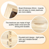 BEEINN 10 Frame Bee Hive, Compelte Bee Hive Starter Kit Includes 1 Deep Brood Honey Bee Hives Box, 1 Medium Super Bee Box with Beehive Frames and Foundation Sheets BEEINN