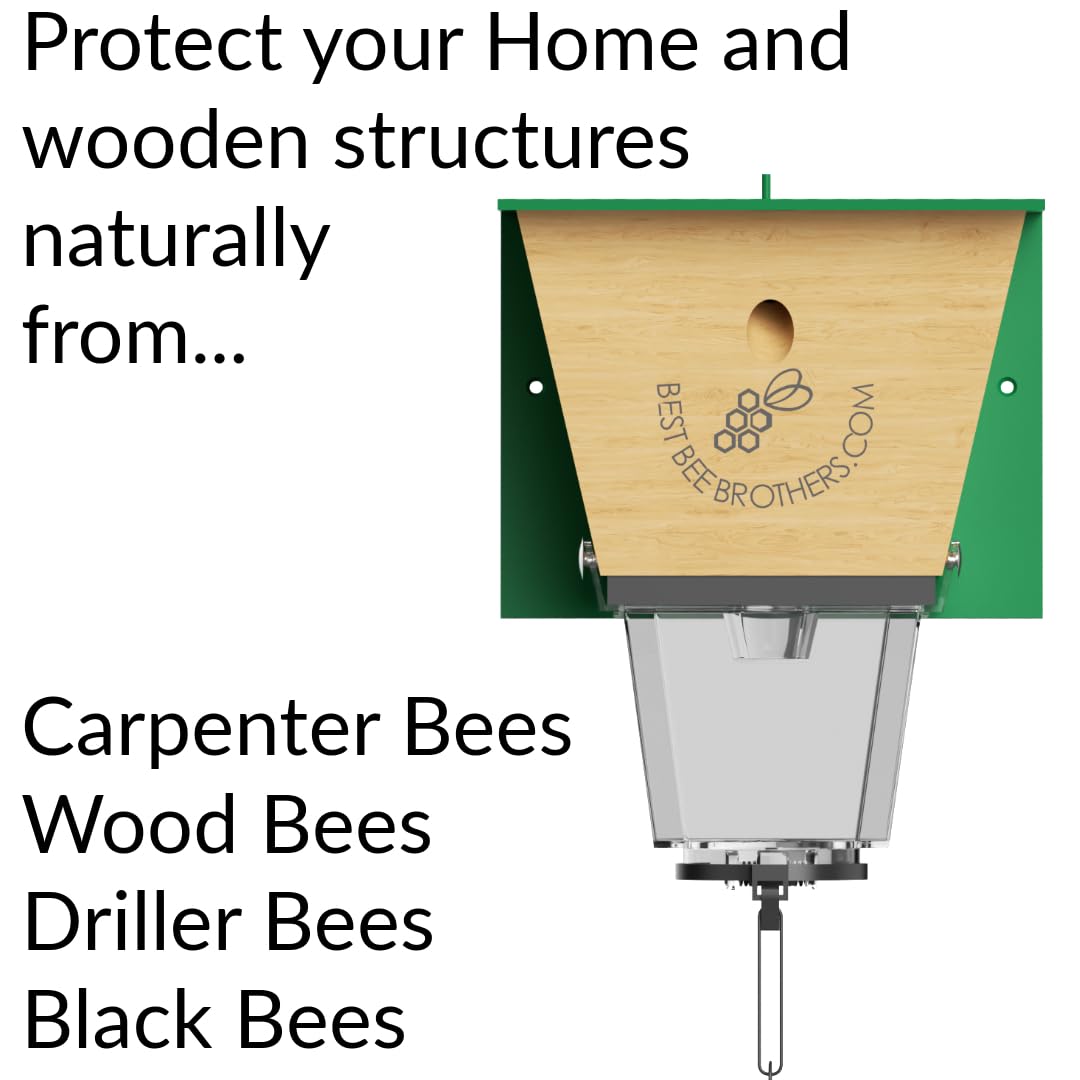 Best Bee Brothers Ultimate Pro Carpenter Bee Trap for Outside with Extra-Large, Clear External Bee Vault & Spring-Loaded Door, 4.2” D x 5.8” W x 7.5” H Best Bee Brothers