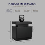 DobleCliCli LED End Table Set of 2, Modern Bedside Table with Storage, 20.5" Tall End Tables Bedroom Set of 2 with 2 Drawers, LED Furniture for Bedroom, Living Room, and Playroom, Black DobleCliCli