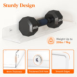 Lifewit Floating Shelves for Wall, 6 Pack 15" Clear Acrylic Shelf Room Decor for Book/Figures/Photo/Makeup in Bathroom, Book Shelf, Living Room, Bedroom, Kitchen Storage and Organization Lifewit