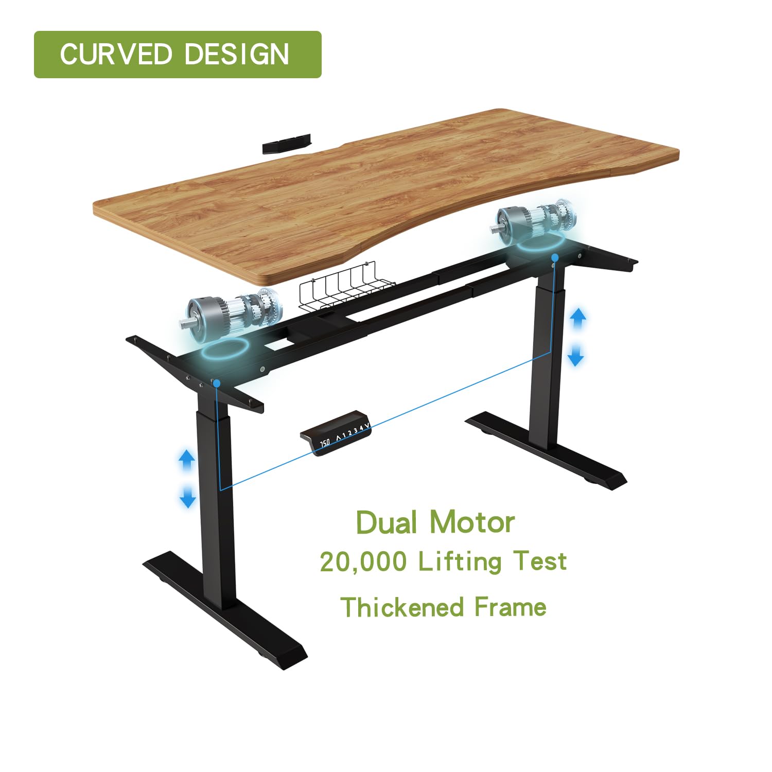 Radlove Dual Motors Height Adjustable 63 x 30 Electric Standing Desk with Curved Design Stand Up Table 4 Memory Keys, Computer Desk with Splice Board Home Office Desk, Light Brown Top + Black - WoodArtSupply