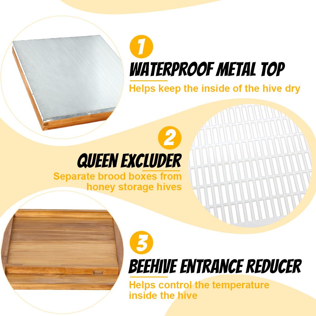 Honey Lake 10 Frame Bee Hive Starter Kit, Complete Beehive Kit for Beekeepers Dipped in 100% Beeswax Includes 1 Deep Brood Box & 1 Medium Super Bee Box with Beehive Frames and Waxed Foundation Sheet Honey Lake