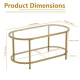 Wolawu Coffee Table Gold Oval Glass Table for Living Room,2 Tiers Oval Center Table with Sturdy Metal Frame, Modern Tempered Glass Tables for Bedroom Living Room Home Office Wolawu