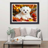 MaiYiYi Full Square Diamond Painting Kits, Cute White Dog Diamond Painting by Numbers for Adults, Crystal Maple Leaf Dog Diamond Painting Arts Crafts for Adult Beginners (11.8 x 15.7 inches) CooolPlus