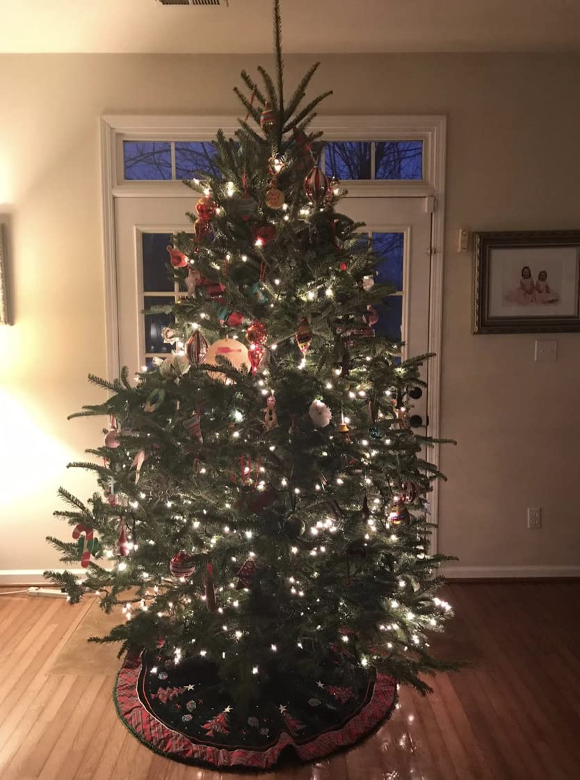 Rocky Mountain Goods Christmas Tree Stand for Live Tree with Water - Up to 8 Foot Tree - 5 Secure Eye Bolts - Steel Spike for Stability - Easy Watering for 2 Gallons - Install Real Tree in Minutes Rocky Mountain Goods