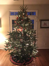 Rocky Mountain Goods Christmas Tree Stand for Live Tree with Water - Up to 8 Foot Tree - 5 Secure Eye Bolts - Steel Spike for Stability - Easy Watering for 2 Gallons - Install Real Tree in Minutes Rocky Mountain Goods