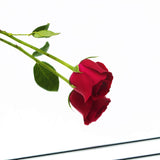 Ruomeng Home Gym Mirrors 12 Inch x 12Pcs Wall Mounted Mirror Glass Frameless Full Length Mirror Tiles for Home Gym, Bedroom, Door & Bathroom Ruomeng