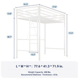 Allewie Metal Loft Bed Twin Size with Guardrail and Ladder, Small Space Saving Design for Bedroom Kid Room and Dorm, No Box Spring Needed, White Allewie