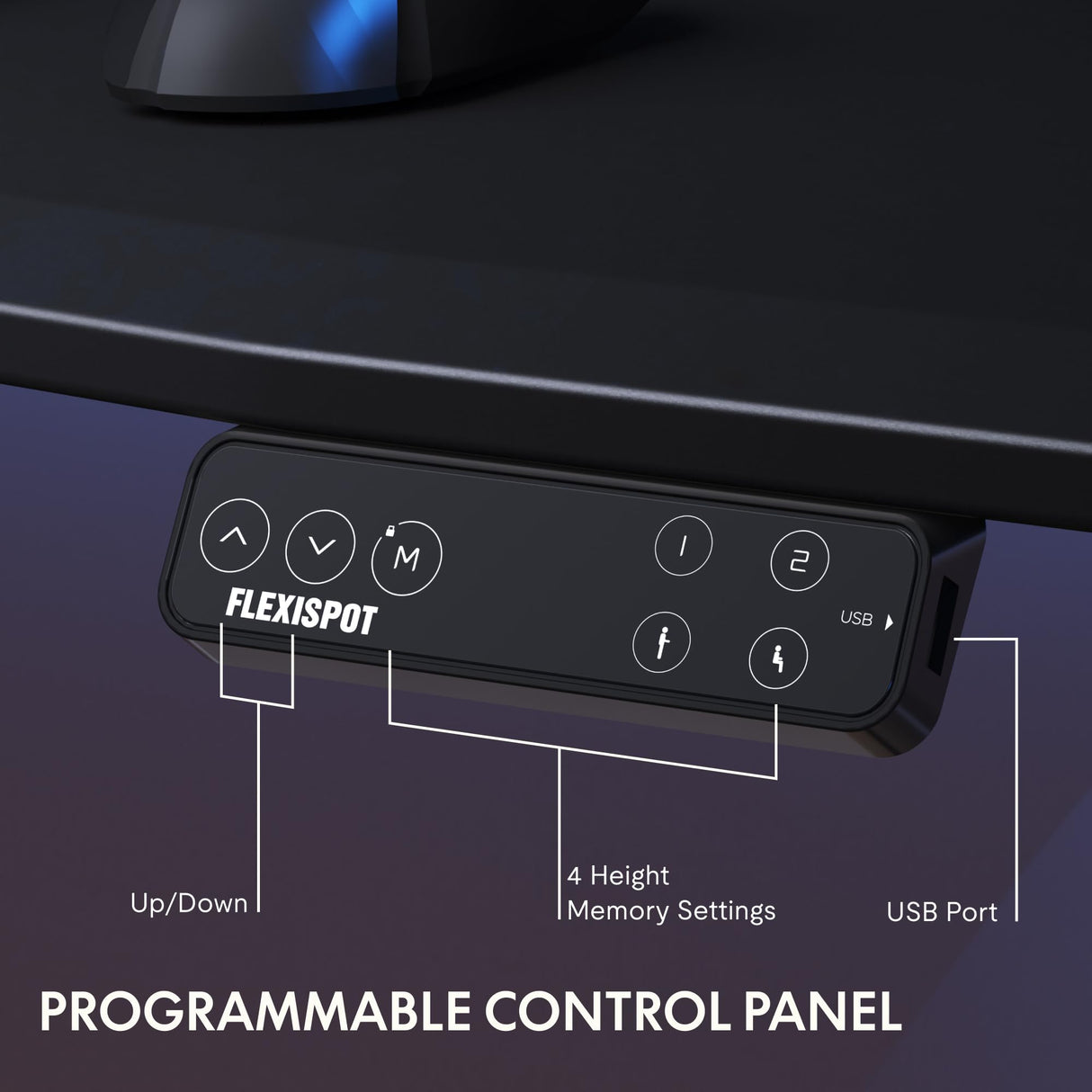 FLEXISPOT E8 Electric Gaming Standing Desk, 60x27 in Adjustable Height Desk for FPS Games, Computer Desk for Home Office Gamer with Dual Motors, USB Ports, Whole Piece Top (Black Frame + Black Top) FLEXISPOT