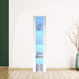 HomVent Modern LED Bookcase Display Cabinet with Glass Doors - Stylish Organiser for Living Room, Bedroom & Office HomVent