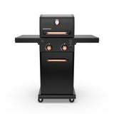 Permasteel 2-Burner Propane Gas Grill, BBQ Grill with Foldable Side Tables & Tool Hooks, Perfect for Outdoor Cooking, Patio & Garden, Black/Copper Permasteel
